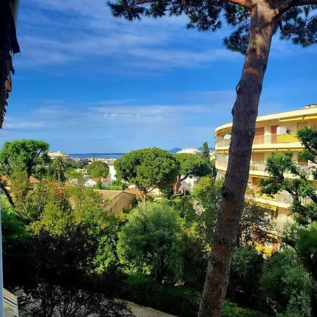 Grand Studio Localisation Ideale Antibes Exterior foto